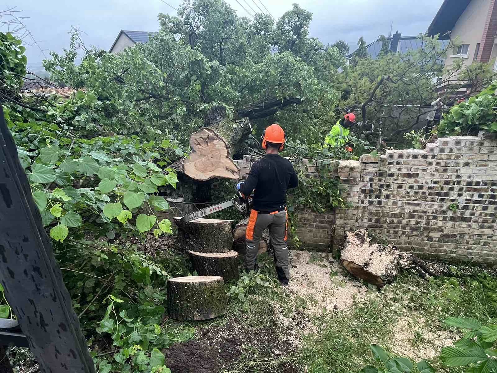 woodsman-kezdokep